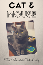Cat &amp; Mouse